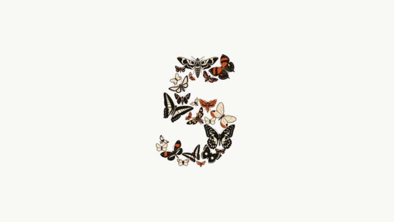 Claude Fable 5